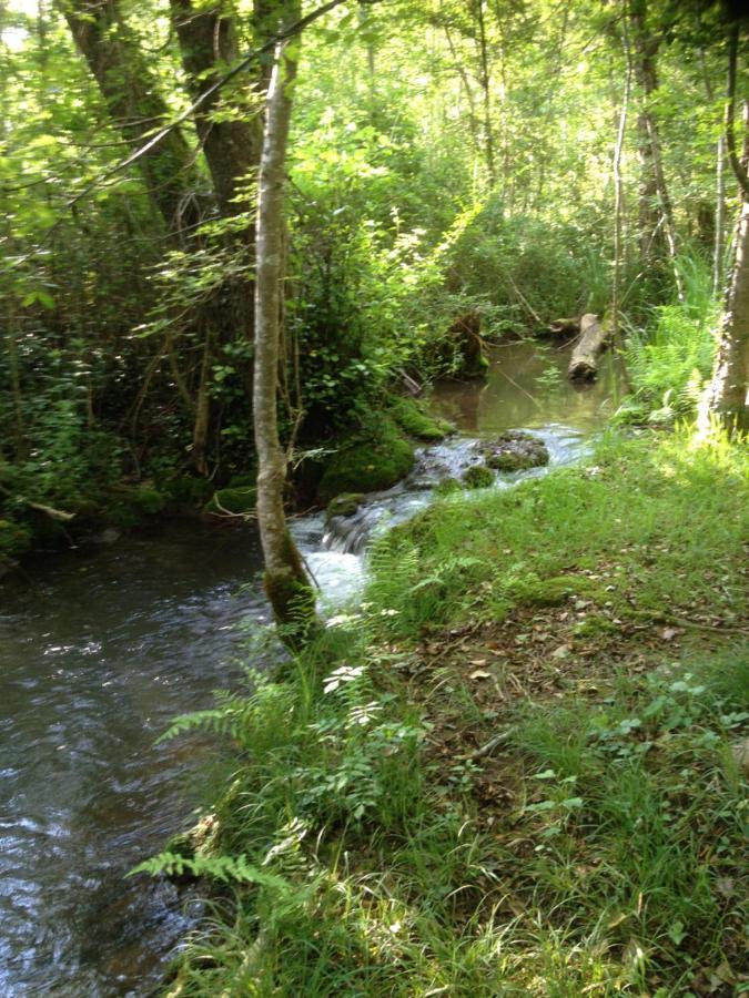 Bed & Breakfast Le Moulin Neuf Saint-Alvère Εξωτερικό φωτογραφία