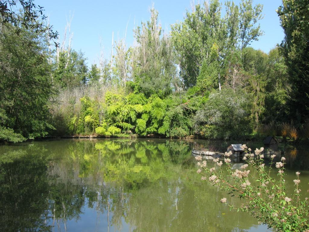Bed & Breakfast Le Moulin Neuf Saint-Alvère Εξωτερικό φωτογραφία